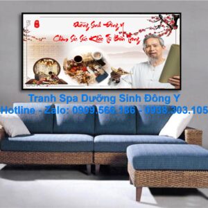 Tranh-duong-sinh-dong-y