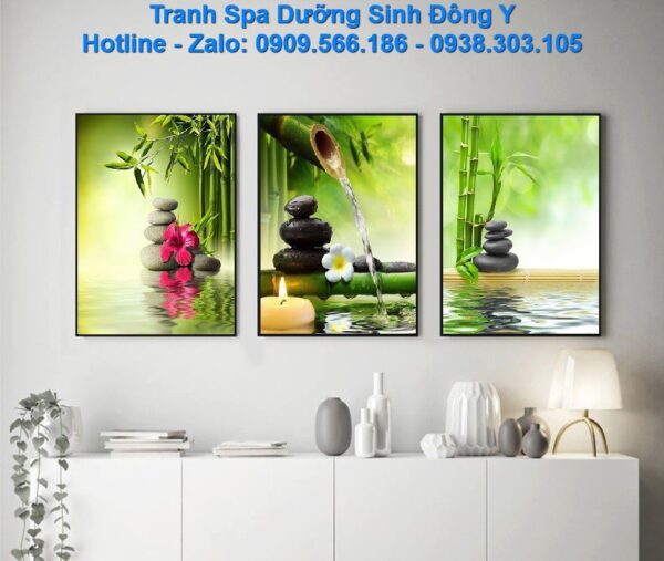 bo-3-tranh-spa