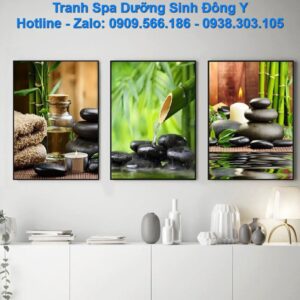 bo-3-tranh-spa