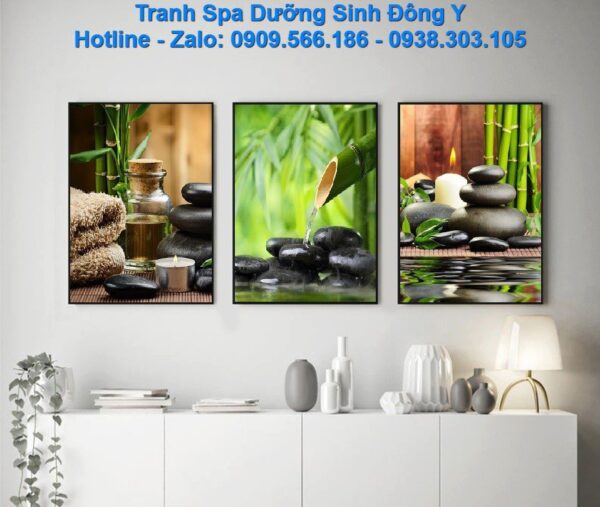 bo-3-tranh-spa